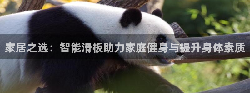 BWIN体育官方正版app开户:家居之选:智能滑板助力家庭健
