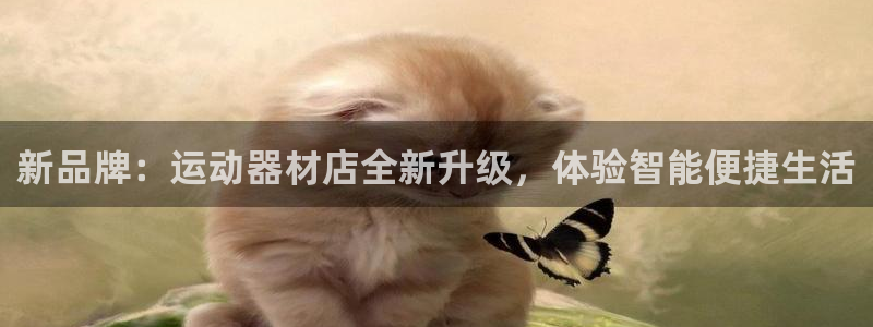 BWIN官方平台体育:新品牌:运动器材店全新升级,体验智能便