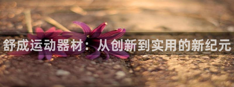 BWIN体育官网下载平台假的吗是真的吗:舒成运动器材:从创新