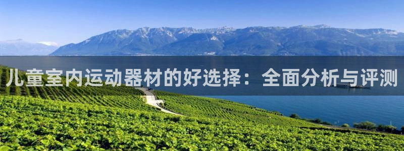 BWIN体育官网下载招商:儿童室内运动器材的好选择:全面分析