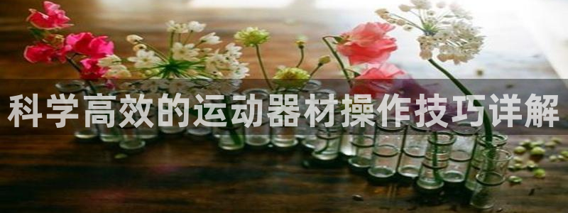 BWIN体育官方正版app娱乐网站:科学高效的运动器材操作技